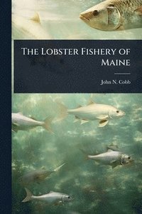 bokomslag Lobster Fishery of Maine