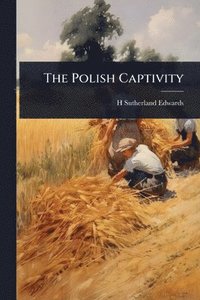 bokomslag Polish Captivity