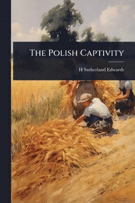 bokomslag Polish Captivity