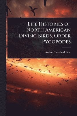 bokomslag Life Histories of North American Diving Birds; Order Pygopodes