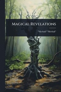 bokomslag Magical Revelations