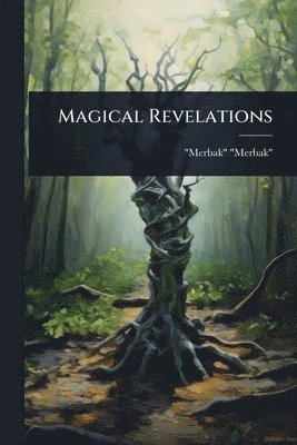 bokomslag Magical Revelations