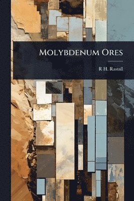 bokomslag Molybdenum Ores