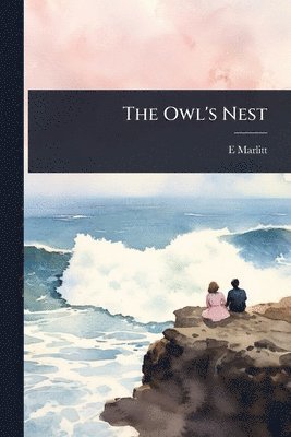 bokomslag Owl's Nest