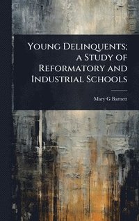 bokomslag Young Delinquents; a Study of Reformatory and Industrial Schools