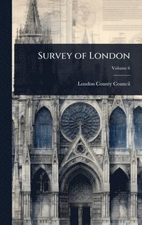 bokomslag Survey of London