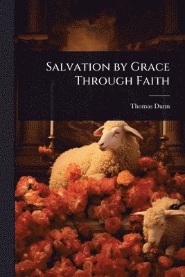 bokomslag Salvation by Grace Through Faith