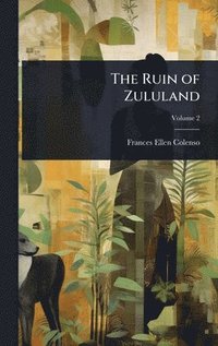 bokomslag Ruin of Zululand
