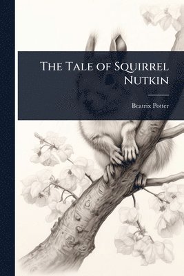 bokomslag Tale of Squirrel Nutkin