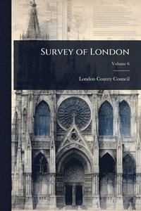 bokomslag Survey of London