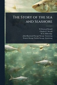bokomslag Story of the sea and Seashore