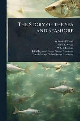 bokomslag Story of the sea and Seashore