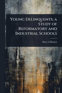 bokomslag Young Delinquents; a Study of Reformatory and Industrial Schools