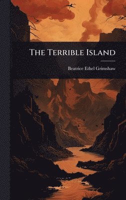 bokomslag The Terrible Island