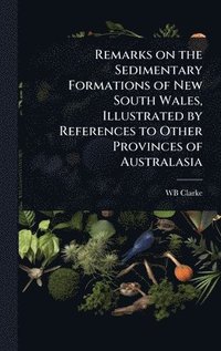 bokomslag Remarks on the Sedimentary Formations of New South Wales, Illustrated by References to Other Provinces of Australasia