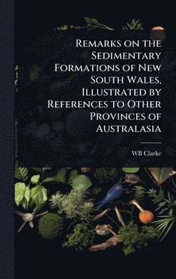 bokomslag Remarks on the Sedimentary Formations of New South Wales, Illustrated by References to Other Provinces of Australasia