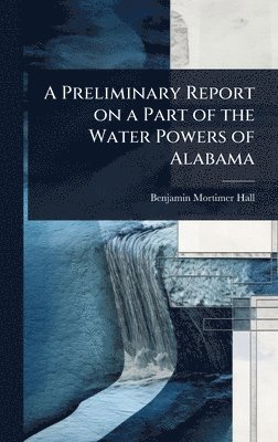 bokomslag Preliminary Report on a Part of the Water Powers of Alabama