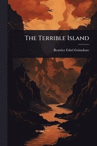 bokomslag The Terrible Island