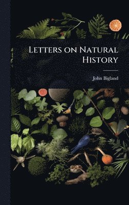 bokomslag Letters on Natural History