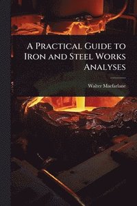 bokomslag Practical Guide to Iron and Steel Works Analyses