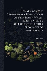 bokomslag Remarks on the Sedimentary Formations of New South Wales, Illustrated by References to Other Provinces of Australasia