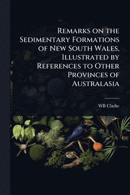 bokomslag Remarks on the Sedimentary Formations of New South Wales, Illustrated by References to Other Provinces of Australasia