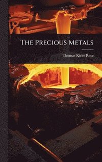 bokomslag Precious Metals