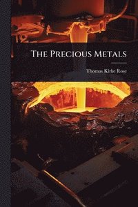 bokomslag Precious Metals