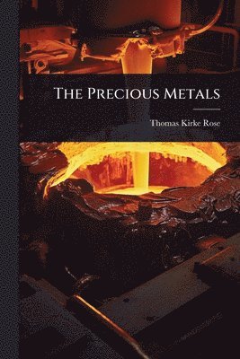 bokomslag Precious Metals