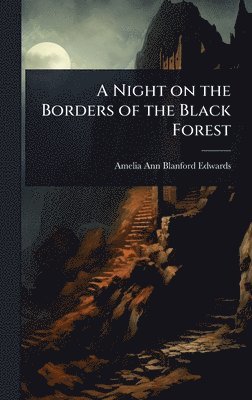 bokomslag Night on the Borders of the Black Forest
