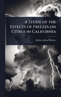 bokomslag Study of the Effects of Freezes on Citrus in California