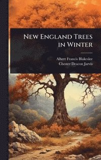 bokomslag New England Trees in Winter