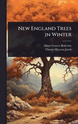 bokomslag New England Trees in Winter