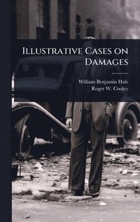 bokomslag Illustrative Cases on Damages