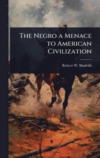 bokomslag The Negro a Menace to American Civilization