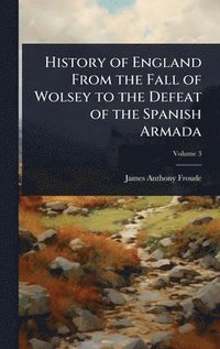 bokomslag History of England From the Fall of Wolsey to the Defeat of the Spanish Armada