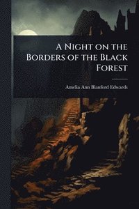 bokomslag Night on the Borders of the Black Forest
