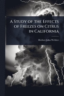 bokomslag Study of the Effects of Freezes on Citrus in California