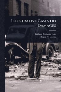bokomslag Illustrative Cases on Damages