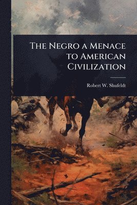 bokomslag The Negro a Menace to American Civilization