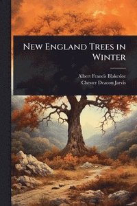bokomslag New England Trees in Winter