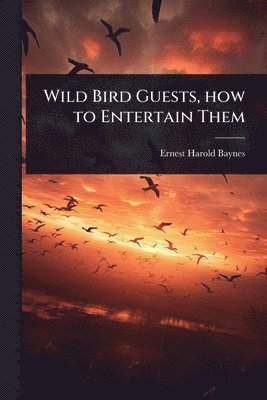 bokomslag Wild Bird Guests, how to Entertain Them