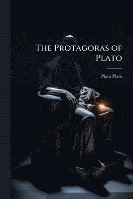 bokomslag Protagoras of Plato