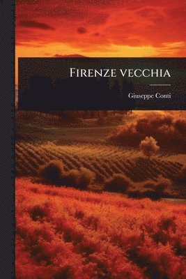 Giuseppe Conti - Firenze vecchia, Häftad