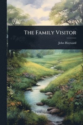 bokomslag Family Visitor