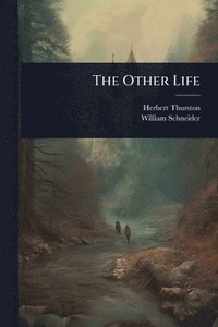 bokomslag The Other Life