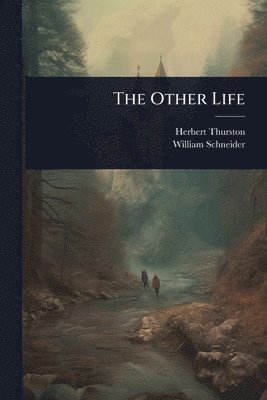 bokomslag The Other Life