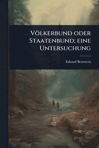 bokomslag Völkerbund oder Staatenbund; eine Untersuchung