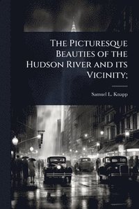 bokomslag The Picturesque Beauties of the Hudson River and its Vicinity;