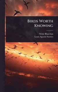 bokomslag Birds Worth Knowing